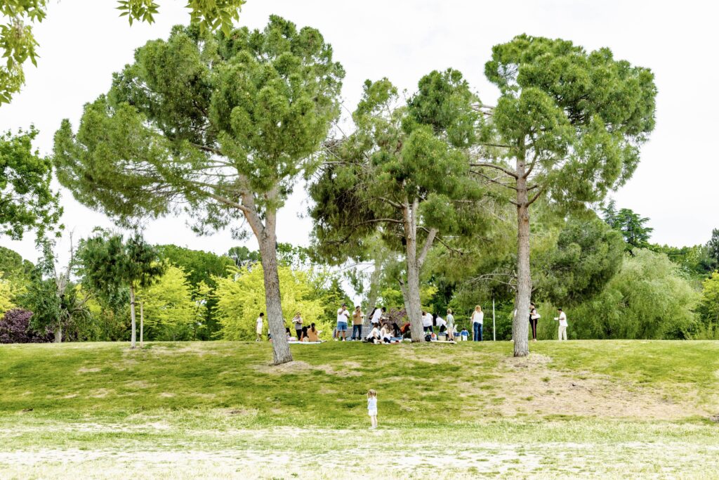 C-LM, entre cinco comunidades autónomas estarán este domingo aviso altas temperaturas